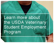 Internships & Veterinary Student Employment
