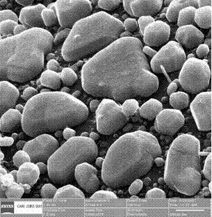 Secondary electron images obtained by the HIM on a 
gold-on-carbon 
sample