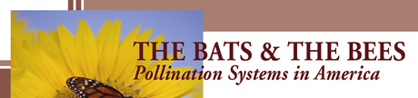 The Bats and the Bees: Pollination Systems in America.