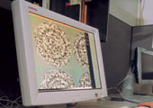 Photo of slides on a computer.