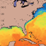 GOES Sea Surface Temperature