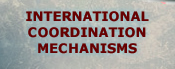 International Groups and Mechanisms
