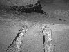 Tracks from Opportunity rover