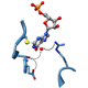 A model of the active site of IMPDH. The gray arrows (left) show the vestigial pathway, and the black arrow (right) shows the modern one. Credit: Lizbeth Hedstrom