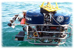 The Kraken, a working class ROV