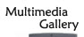 Multimedia Gallery