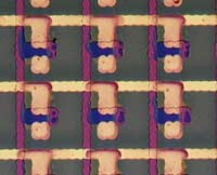 A grid of semiconductor polymer transistors jet-printed into a prototype circuit that can be used to control a flat panel display. 