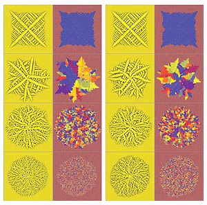 Four sets of simulated images show the striking similarities between crystals "grown" under different conditions.