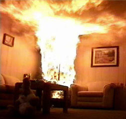 NIST fire test demonstrates how quickly a flame can ignite a dry holiday tree.