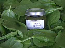 small jar of NIST slurried spinach Standard Reference Material on a bed of fresh spinach leaves.