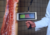 A worker measures the depth of back fat and the depth of the "loin eye" or muscle (the good part of the pork chop) using a hand-held ultrasonic device. 