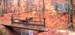 Fall foliage at Prince William Forest Park