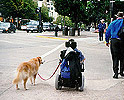 Accessibility - Handicapped Pedestrian Crossing the Street