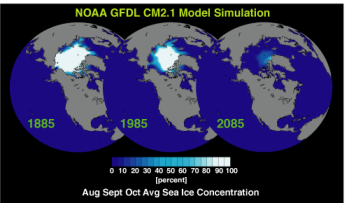 [Arctic Sea Ice simuation (small)]