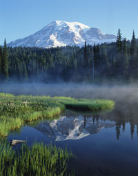 Mt. Rainier