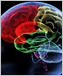 a colorful illustration of the brain.