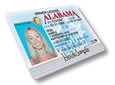 New Alabama Driver License