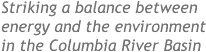 "Striking a balance between energy and the environment in the Columbia River Basin"