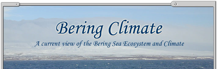 Bering Climate