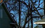 Small red house with white picket fence and front porch