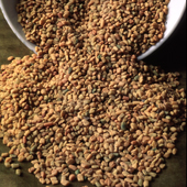 Fenugreek