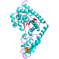 This image represents the structure of TrpRS, a novel member of the tryptophanyl tRNA-synthetase family of enzymes. By helping to link the amino acid tryptophan to a tRNA molecule, TrpRS primes the amino acid for use in protein synthesis. A cluster of iron and sulfur atoms (orange and red spheres) was unexpectedly found in the anti-codon domain, a key part of the molecule, and appears to be critical for the function of the enzyme. TrpRS was discovered in Thermotoga maritima, a rod-shaped bacterium that flourishes in high temperatures. Credit: Joint Center for Structural Genomics
