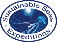 sustainable seas