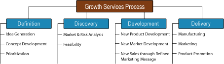 Growth Services Process