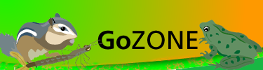 the go zone, image of a chipmunk, an insect and a frog