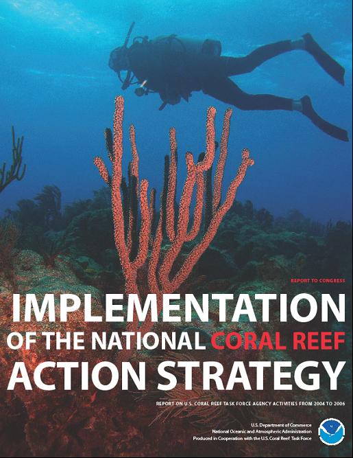 An image of the cover of the 'Implementation  of the National Coral Reef Action Strategy: Report on U.S. Coral Reef Task  Force Agency Activities from 2004'