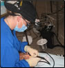 Photo Thumbnail: LT Sheila Weagle, a nurse hygienist, administers an oral examination on a Peruvian patient as part of Operation Continuing Promise.