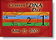 DNA 2007 Logo