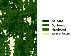 Landsat Image