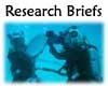 Research Briefs