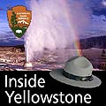 Icon for the Inside Yellowstone video series showing an image of Beehive Geyser.