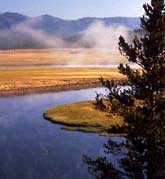 Yellowstone River winding through Hayden Valley