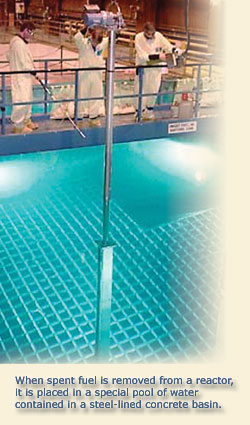 Graphic: spent fuel pool. Caption: When spent fuel is removed from a reactor it is placed in a special pool of water contained in a steel-lined concrete basin.