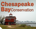 Chesapeake Bay Conservation