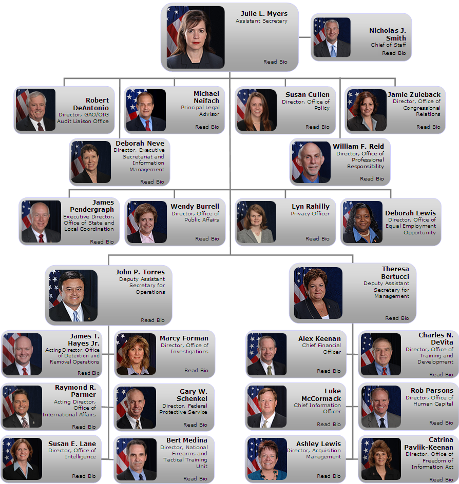 ICE organizational chart