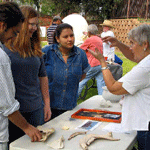 Archaeology month activities. 