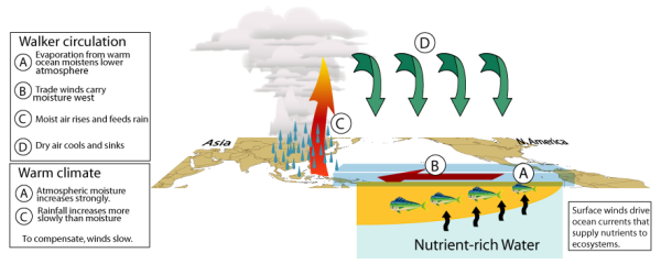 [Tropical Circulation (with text)]