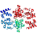 Structure of a magnesium transporter protein from an antibiotic-resistant bacterium found in the human gut.  Credit:New York Structural GenomiX Consortium