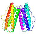 This crystal structure shows a conserved hypothetical protein from M. tuberculosis. Only 12 other proteins share its sequence homology, and none has a known function. This structure indicates the protein may play a role in metabolic pathways. Credit: Integrated Center for Structure and Function Innovation