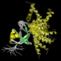 NMR solution structure of a plant protein that may function in host defense. This protein was expressed in a convenient and efficient wheat germ cell-free system. Credit: Center for Eukaryotic Structural Genomics