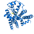 Crystal structure of the beta2-adrenergic receptor protein. This is the first known structure of a human G protein-coupled receptor, a large family of proteins that control critical bodily functions and the action of about half of today’s pharmaceuticals. Credit: The Stevens Laboratory, The Scripps Research Institute