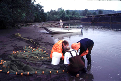 Scientists Field Sampling