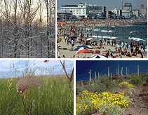 Images showing different climates and vegetation