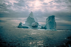 Image of icebergs in the North Atlantic