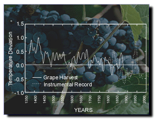grapes.gif, stock photo