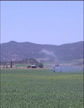 Photo of Agriculture in the Klamath Basin